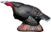 MCKENZIE GOBBLING TURKEY