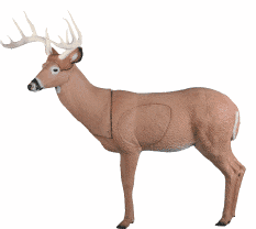 2015 Competition Deer Rinehart Big Ten Buck