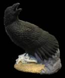 Rinehart Raven Target