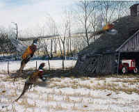 "Limit of Roosters" by Larry Anderson